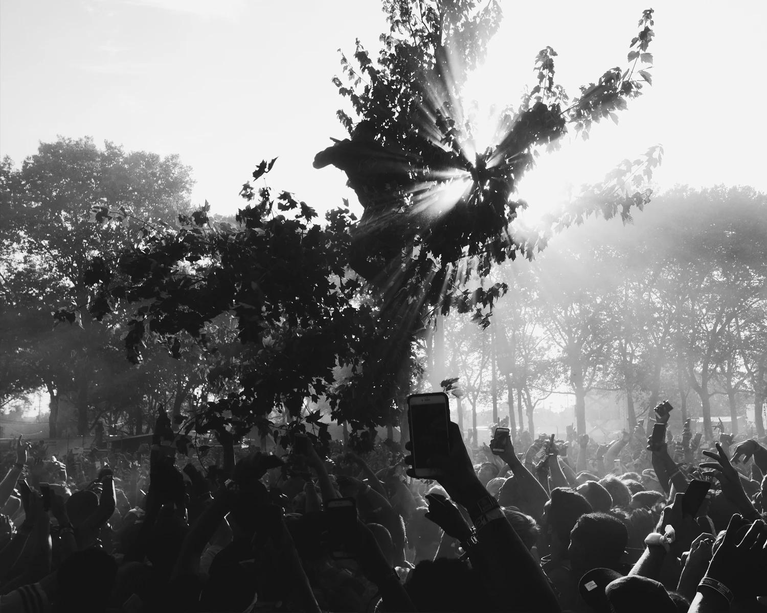 Concert