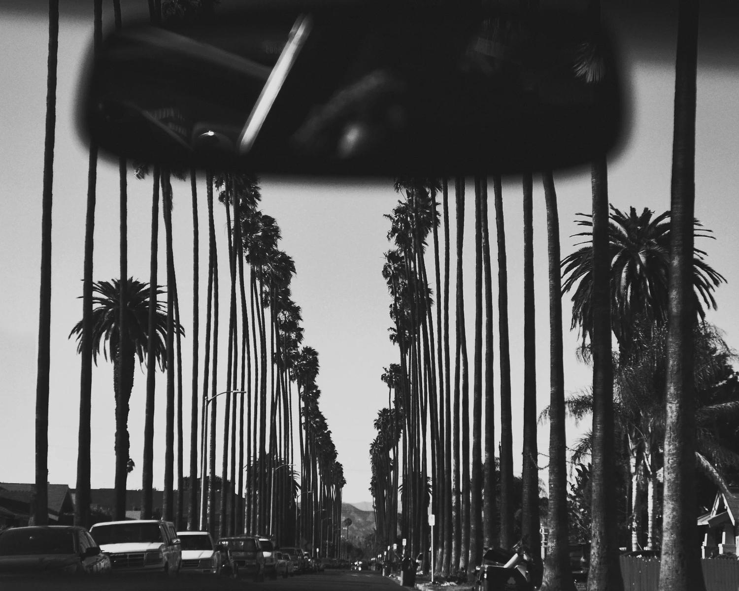 LA